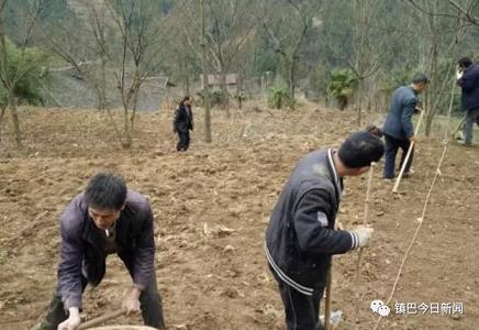 云顶国际娱乐