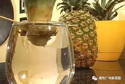 拉菲娱乐1注册