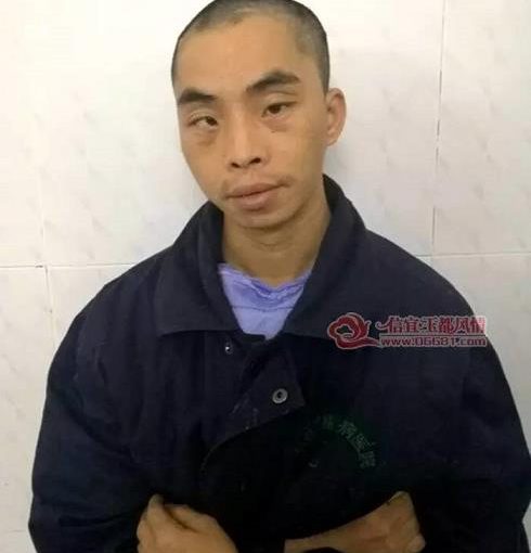 kg体育